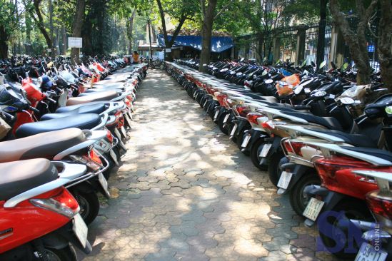 Bãi giữ xe Thảo Cầm Viên, với hàng loạt xe máy đỗ thẳng hàng trên lối đi lát gạch, giữa không gian xanh mát của cây cối.