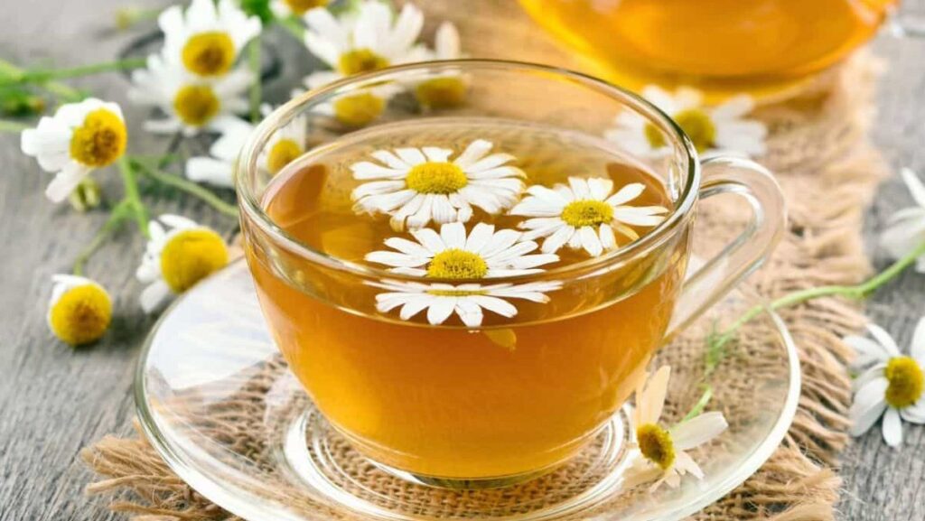 Trà hoa cúc đồ uống mang lại cảm giác thư giãn và tỉnh táo