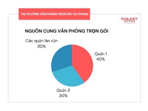 Biểu đồ hình tròn thể hiện nguồn cung văn phòng trọn gói tại TP.HCM